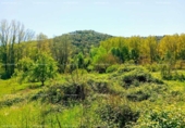 Terreno no urbanizable en venta en la España, La Nava, ref: TR404719 foto