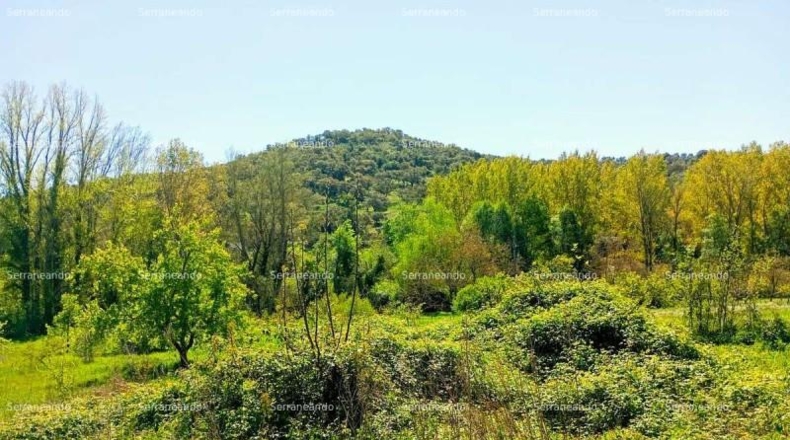 Huelva - La Nava - 1358m2