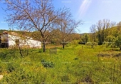 Terreno no urbanizable en venta en la España, La Nava, ref: TR404719 foto
