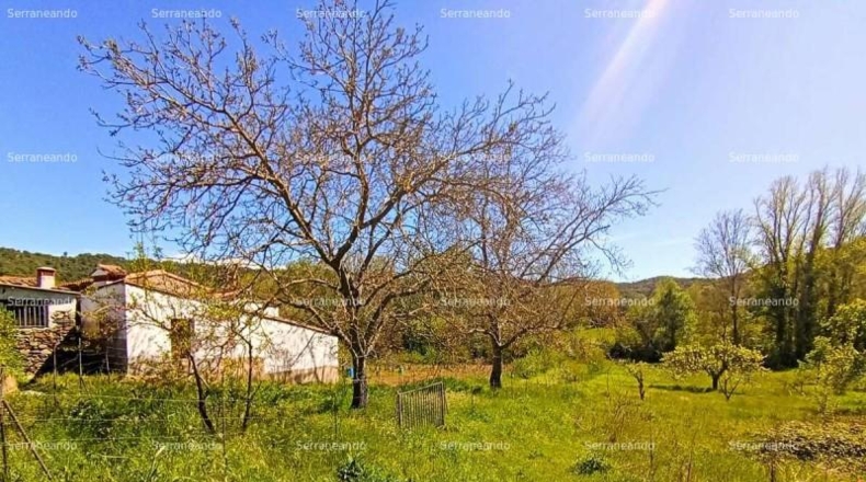 Huelva - La Nava - 1358m2
