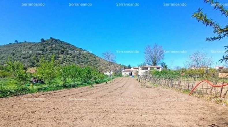 Huelva - La Nava - 1358m2