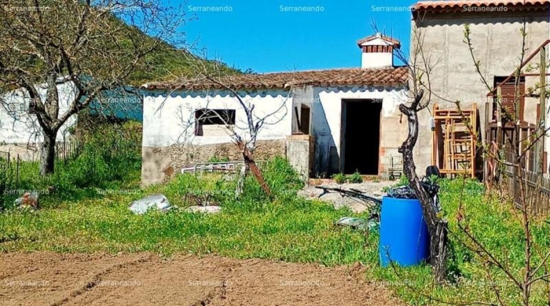 Huelva - La Nava - 1358m2