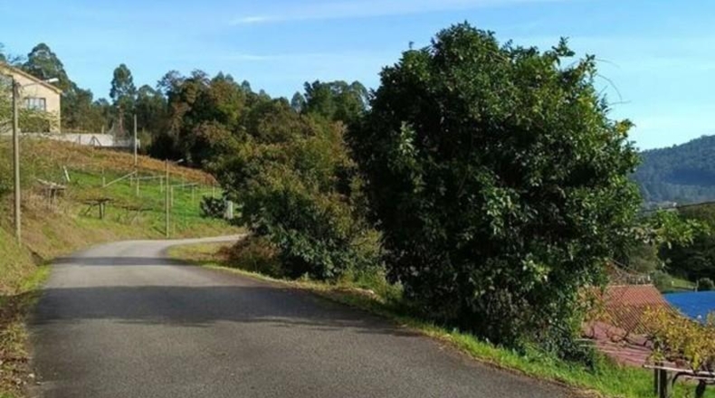 Pontevedra - Vigo - 504m2