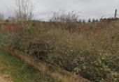 Land suitable for development for sale on España, Valverde de la Virgen, ref: TR124999 photo