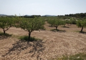 Terreno no urbanizable en venta en la España, Almansa, ref: TR116004 foto