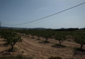 Terreno no urbanizable en venta en la España, Almansa, ref: TR116004 foto