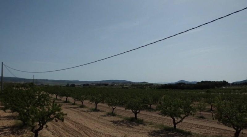 Albacete - Almansa - 19627m2
