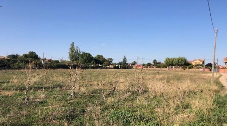 Zamora - Morales del Vino - 8600m2