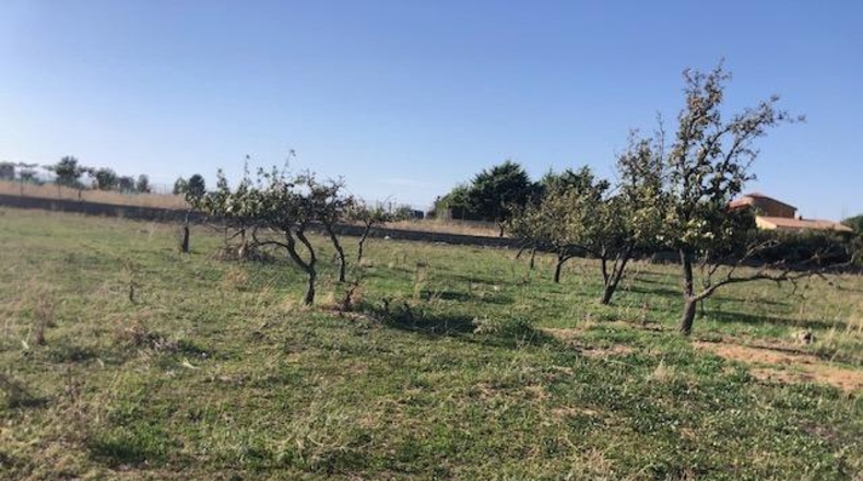 Zamora - Morales del Vino - 8600m2