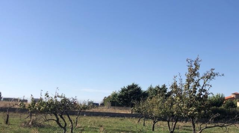 Zamora - Morales del Vino - 8600m2
