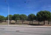 Sòl urbà en venda a la España, Lleó, ref.: TR125264 foto