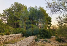 Foto 13