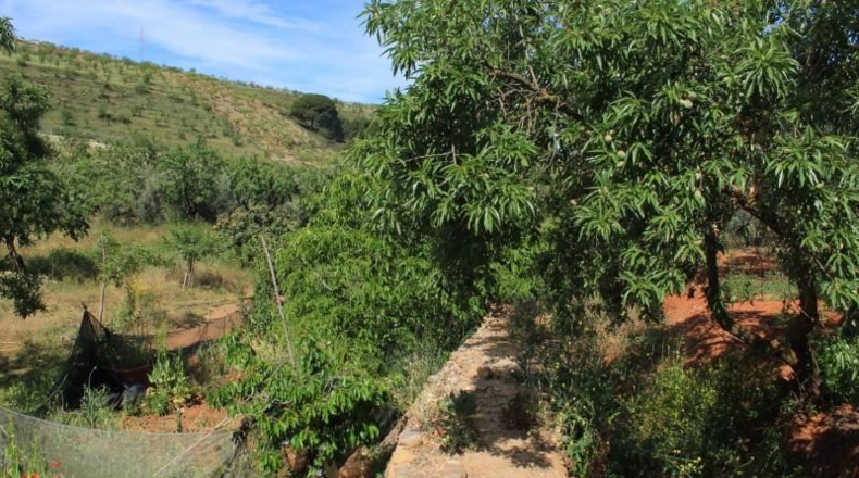 Granada - Acequias - 1935m2