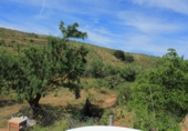 Parcela urbanizable en venta en la España, Acequias, ref: TR238353 foto