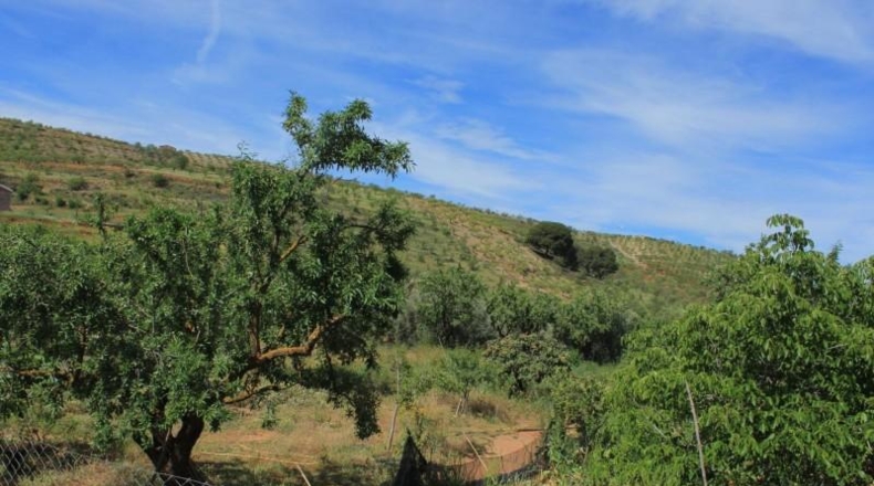 Granada - Acequias - 1935m2