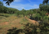 Parcela urbanizable en venta en la España, Acequias, ref: TR238353 foto
