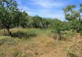 Parcela urbanizable en venta en la España, Acequias, ref: TR238353 foto