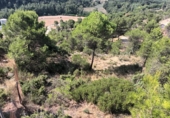 Suelo urbano en venta en la España, Carme, ref: TR396725 foto