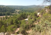 Suelo urbano en venta en la España, Carme, ref: TR396725 foto