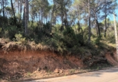 Suelo urbano en venta en la España, Carme, ref: TR396725 foto