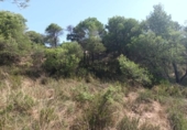 Suelo urbano en venta en la España, Carme, ref: TR396725 foto