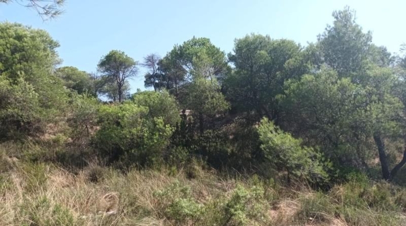 Barcelona - Carme - 1900m2