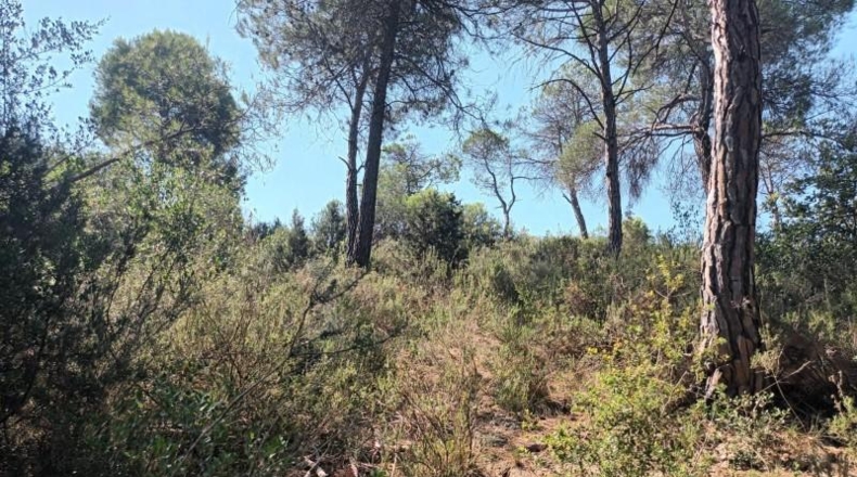 Barcelona - Carme - 1900m2