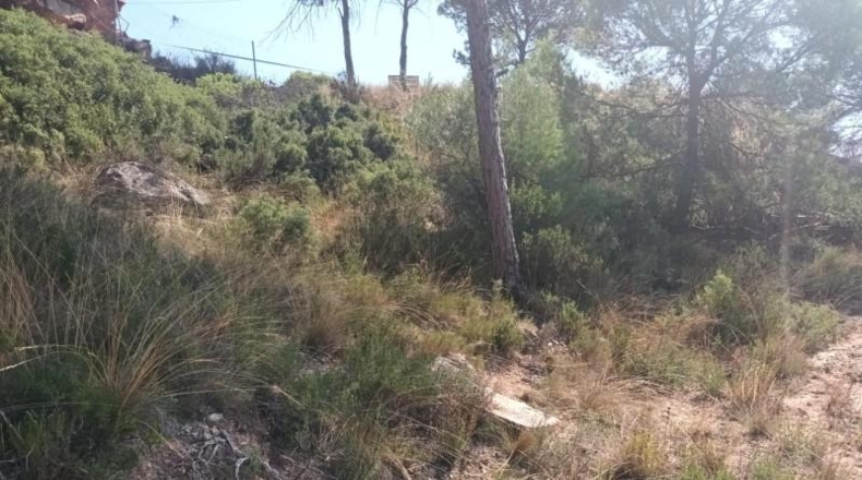 Barcelona - Carme - 1900m2