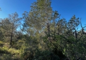 Detached villa with land for sale on España, Tortosa, ref: TR398958 photo