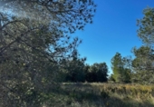 Detached villa with land for sale on España, Tortosa, ref: TR398958 photo
