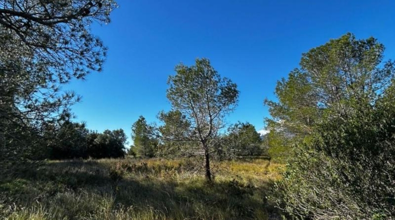Tarragona - Tortosa - 6537m2