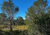 Detached villa with land for sale on España, Tortosa, ref: TR398958 photo