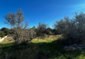 Detached villa with land for sale on España, Tortosa, ref: TR398958 photo
