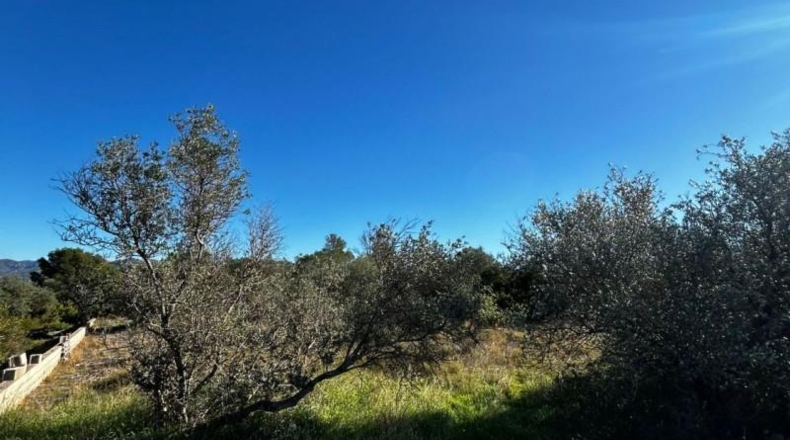 Tarragona - Tortosa - 6537m2
