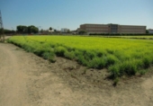 Terreno no urbanizable en venta en la España, Foios, ref: TR123497 foto