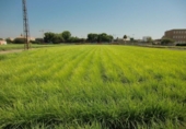 Terreno no urbanizable en venta en la España, Foios, ref: TR123497 foto