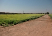 Terreno no urbanizable en venta en la España, Foios, ref: TR123497 foto