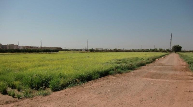 València - Foyos - 3739m2