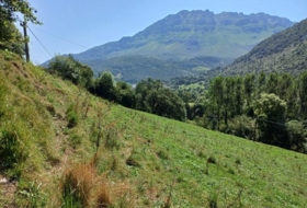 Foto 11