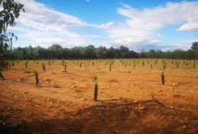 Ulldecona 10600&nbsp;m²