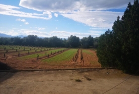 Ulldecona 10600&nbsp;m²