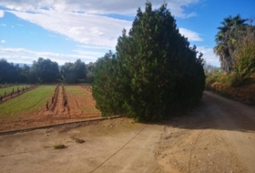Ulldecona 10600&nbsp;m²