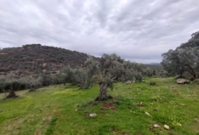 Villanueva del Rey 77067&nbsp;m²