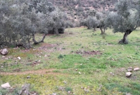 Villanueva del Rey 77067&nbsp;m²