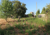 Terreno no urbanizable en venta en la España, Tejeda de Tiétar, ref: TR116111 foto