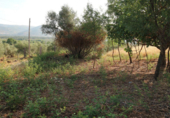 Terreno no urbanizable en venta en la España, Tejeda de Tiétar, ref: TR116111 foto