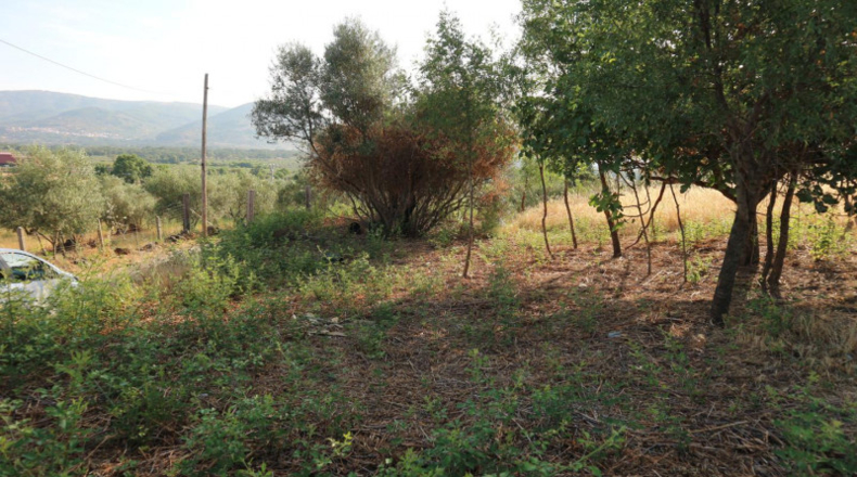 Cáceres - Tejeda de Tiétar - 4080m2