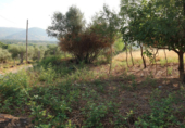 Terreno no urbanizable en venta en la España, Tejeda de Tiétar, ref: TR116111 foto