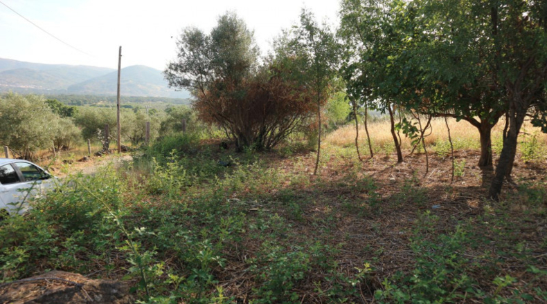 Cáceres - Tejeda de Tiétar - 4080m2