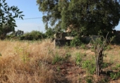 Terreno no urbanizable en venta en la España, Tejeda de Tiétar, ref: TR116111 foto